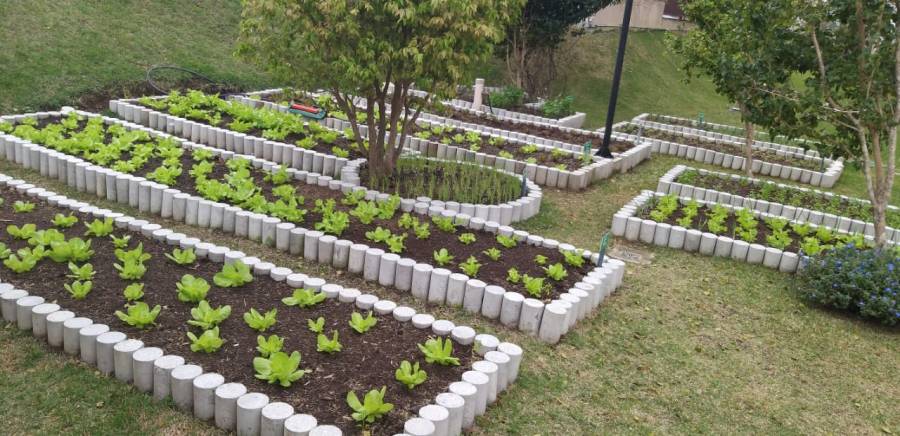Sustentabilidade